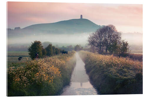 Acrylic print Glastonbury Gate, Somerset