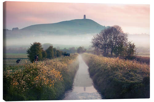 Quadro em tela Glastonbury Gate, Somerset
