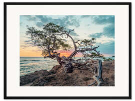 Gerahmter Kunstdruck Saint Elizabeth Parish, Jamaika