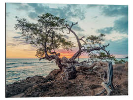 Magnettafel Saint Elizabeth Parish, Jamaika