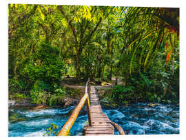 Hartschaumbild Batari Fluss, Brasilien