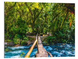 Gallery print Batari River, Brazil