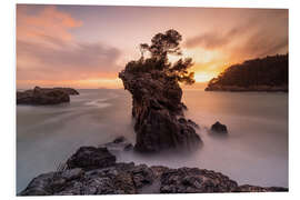 Foam board print Cliffs in Lerici, Le Cinque Terre