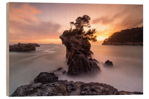 Puutaulu Cliffs in Lerici, Le Cinque Terre