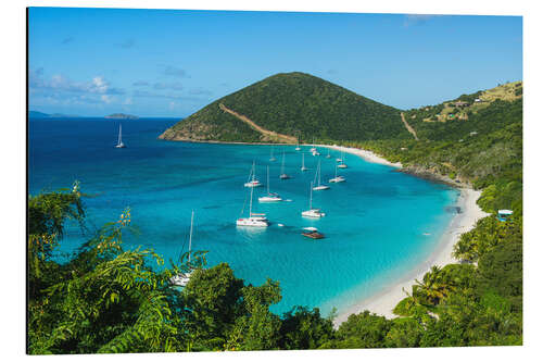 Quadro em alumínio White Bay Beach, Virgin Islands