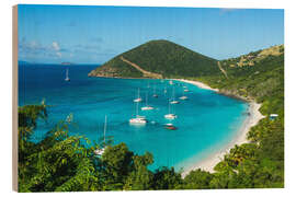 Tableau en bois White Bay Beach, Virgin Islands