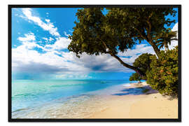 Gerahmter Kunstdruck Paynes Bay, Barbados
