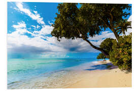 Foam board print Paynes Bay, Barbados