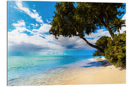 Tableau en plexi-alu Paynes Bay, Barbados