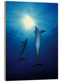 Wood print Dolphins Swim Towards the Sun