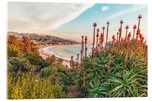 Akryylilasitaulu Aloe, California