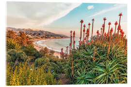 Akryylilasitaulu Aloe, California