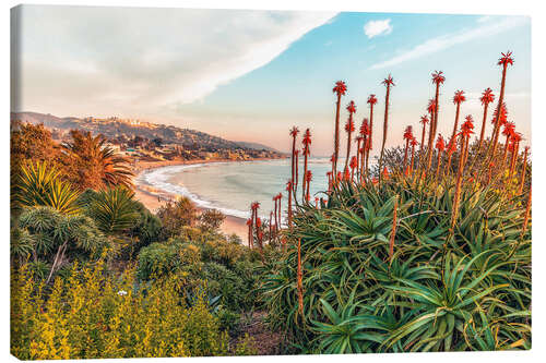 Stampa su tela Aloe, California