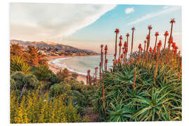 Foam board print Aloe, California