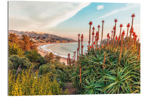 Tableau en plexi-alu Aloe, California