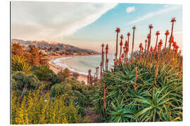 Galleriataulu Aloe, California