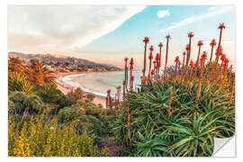 Sisustustarra Aloe, California