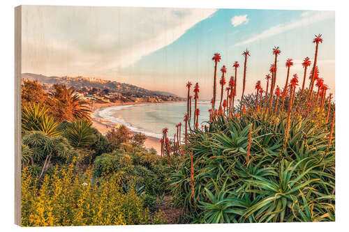 Holzbild Aloe, Kalifornien