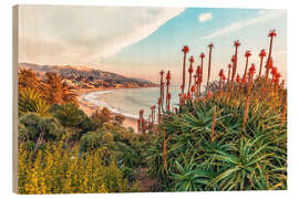 Tableau en bois Aloe, California