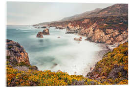 Akryylilasitaulu Rocky coast in California