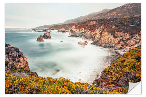 Självhäftande poster Rocky coast in California