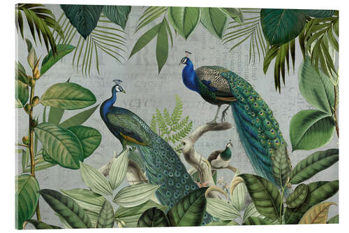 Stampa su vetro acrilico Majestic Peafowls