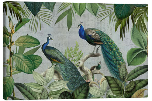 Canvas print Majestic Peafowls