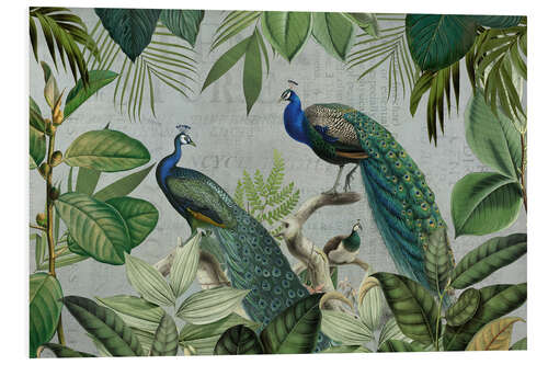 Foam board print Majestic Peafowls