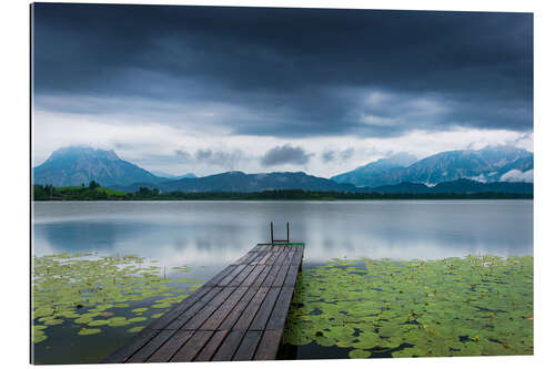 Gallery print Evening at Hopfensee, Bavaria