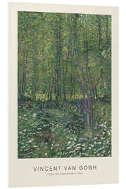 Foam board print Trees and Undergrowth, 1887