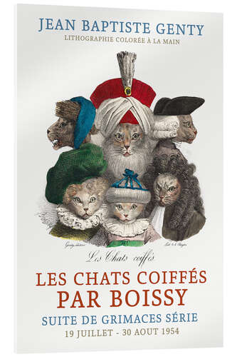 Acrylic print Cats in Wigs - Boissy (French)