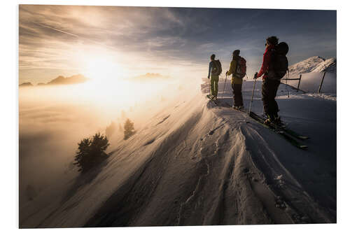 Foam board print Reaching the Sunlight