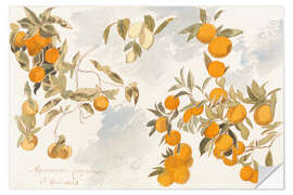 Sticker mural Fruit Trees, 1863