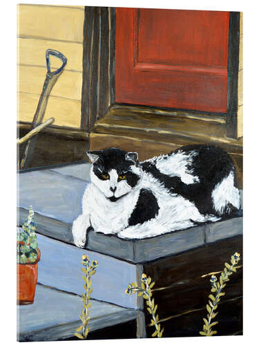Acrylglasbild Die Katze des Nachbarn