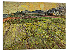 Foam board print Enclosed Field With Sunrise