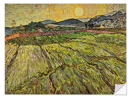 Selvklebende plakat Enclosed Field With Sunrise