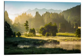 Magnettafel Wald am Geroldsee mit Soierngruppe