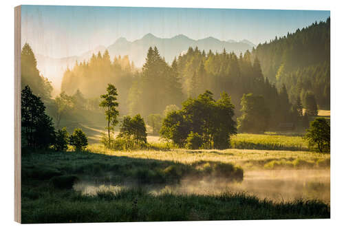 Puutaulu Forest at Geroldsee and Soiern Mounts