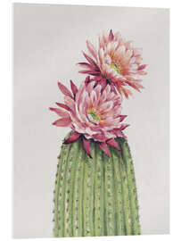 Acrylic print Cactus Bloom