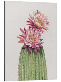 Magnettafel Kaktusblühte