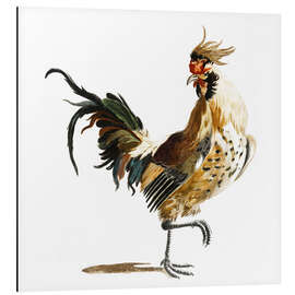 Aluminium print Elegant Rooster