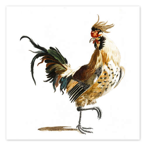 Poster Elegant Rooster