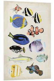 Foam board print Antique Aquarium II