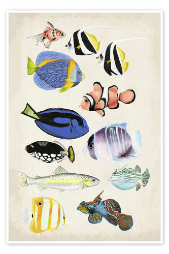 Poster Antique Aquarium II