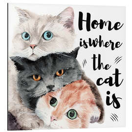 Quadro em alumínio Home is Where the Cat Is