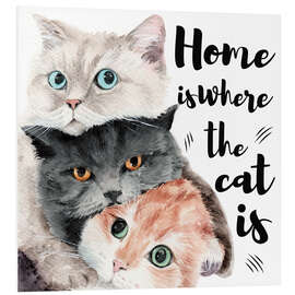 Foam board print Home is Where the Cat Is