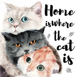 Magnettafel Home is Where the Cat Is