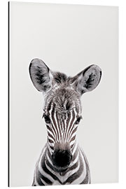 Aluminium print Young Safari Animals