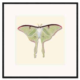 Ingelijste kunstdruk Green Butterfly