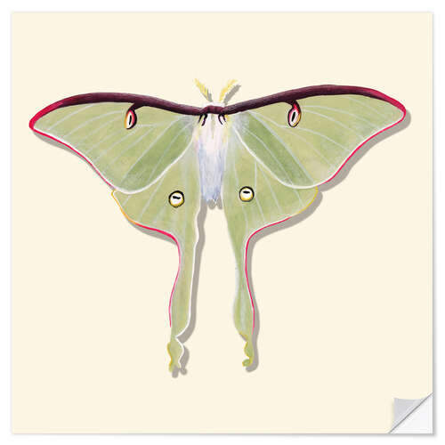 Vinilo para la pared Green Butterfly